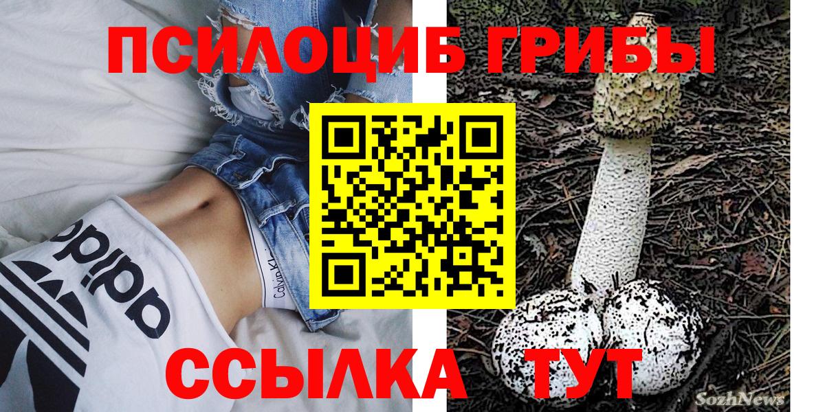 Галлюциногенные грибы MAGIC MUSHROOMS Грязи